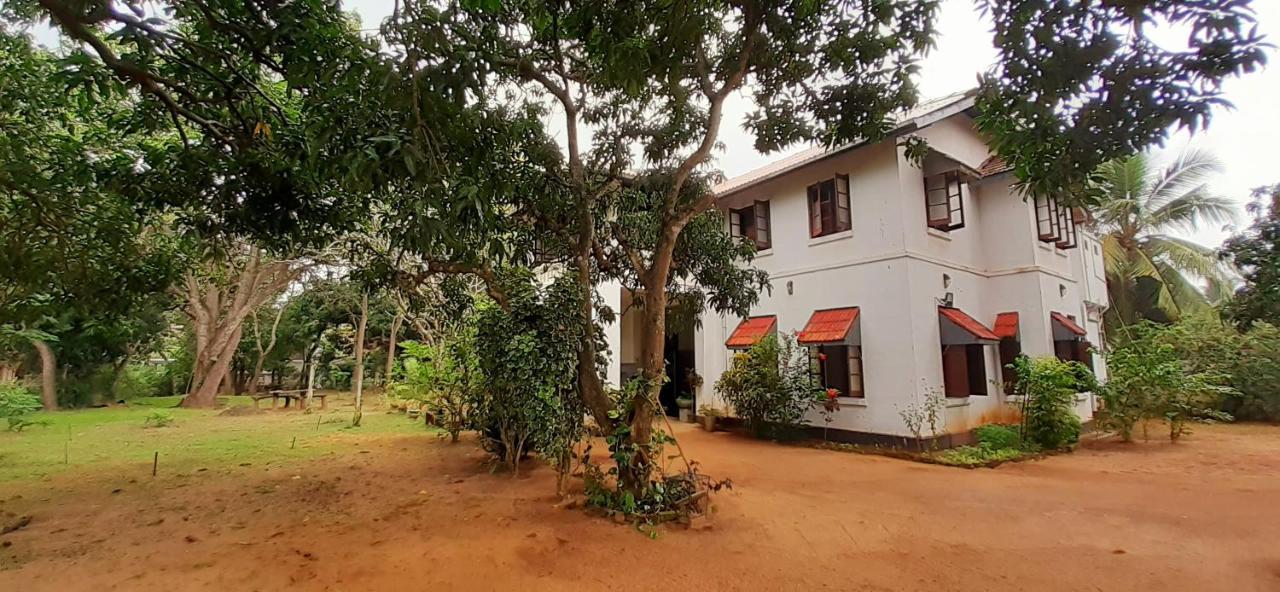 Fig And Gecko Hostel Anuradhapura Exterior photo
