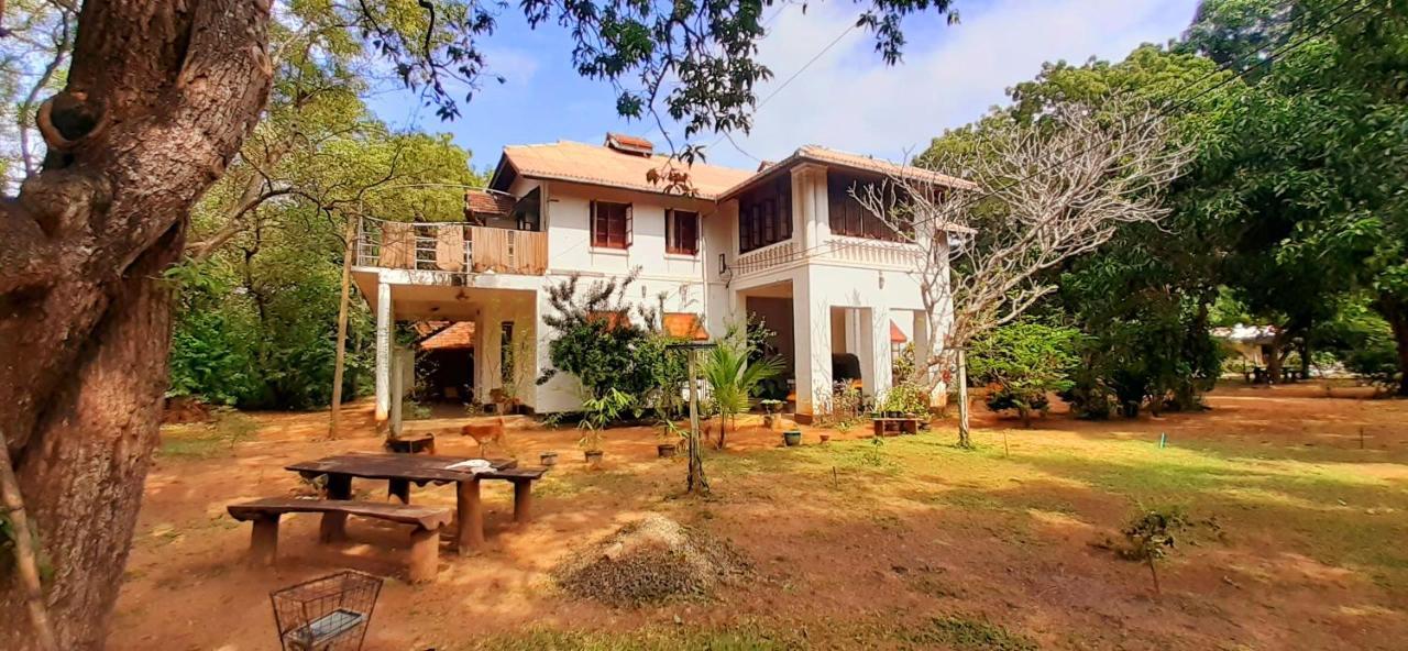 Fig And Gecko Hostel Anuradhapura Exterior photo