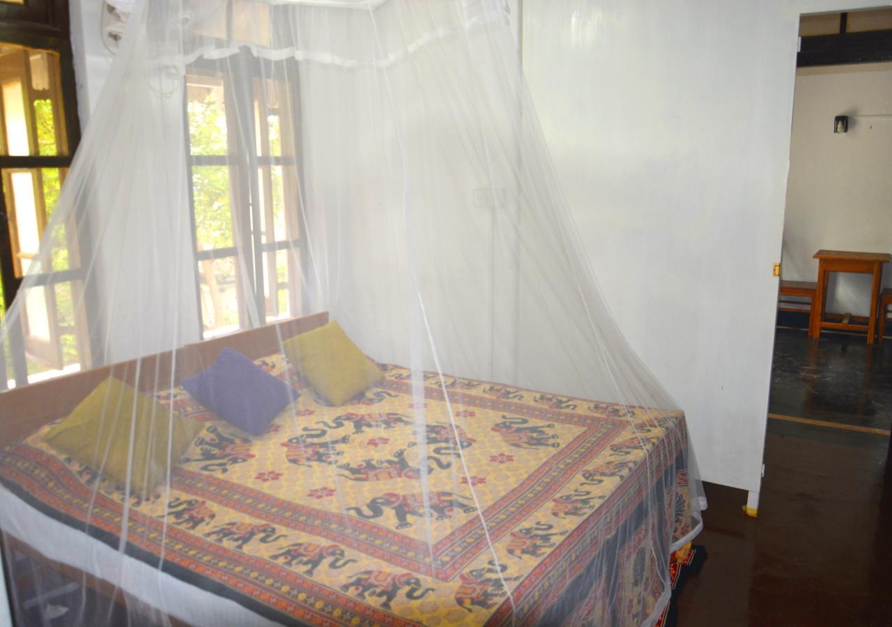 Fig And Gecko Hostel Anuradhapura Exterior photo