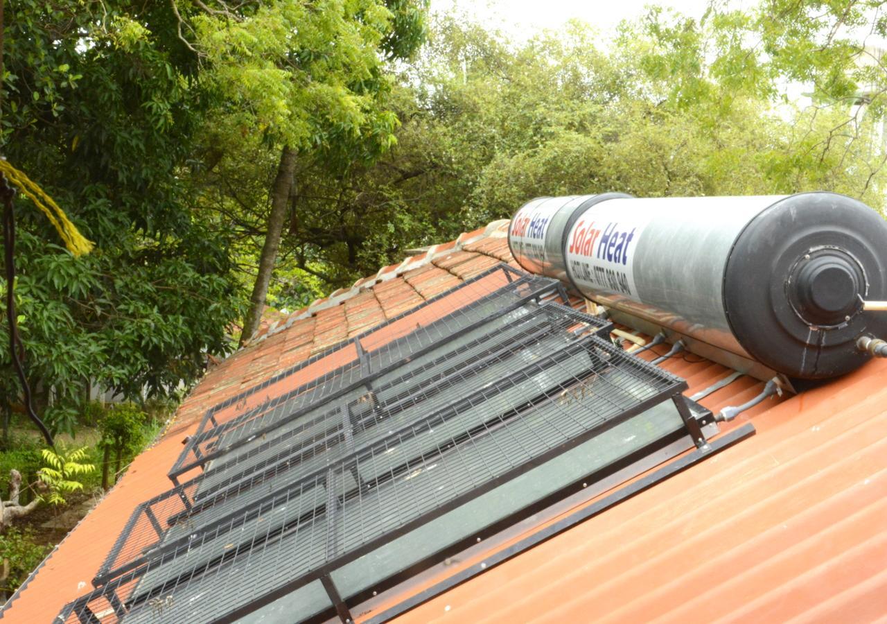 Fig And Gecko Hostel Anuradhapura Exterior photo