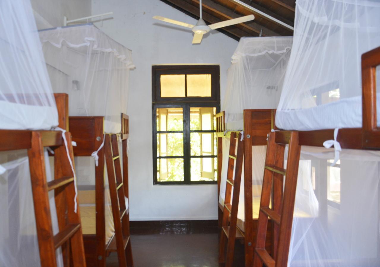 Fig And Gecko Hostel Anuradhapura Exterior photo
